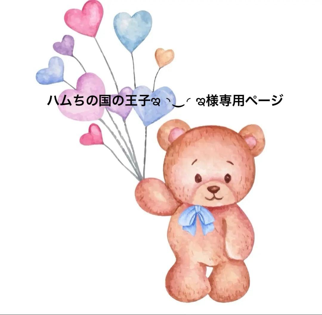 ハムちの国の王子ఇ ◝‿◜ ఇ ページ(24日)