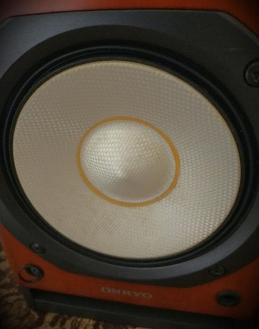 動作良好　ONKYO D-N9 スピーカー シリアル同番